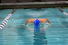 Swimming vs CGA  Wheaton College Swimming & Diving vs Coast Guard Academy. - Photo By: KEITH NORDSTROM : Wheaton, Swimming, diving